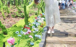 忘忧草.WYC.APK1055